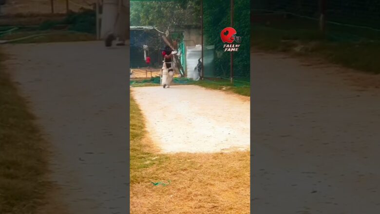 Cricket Batsman Shatters A Water Tank