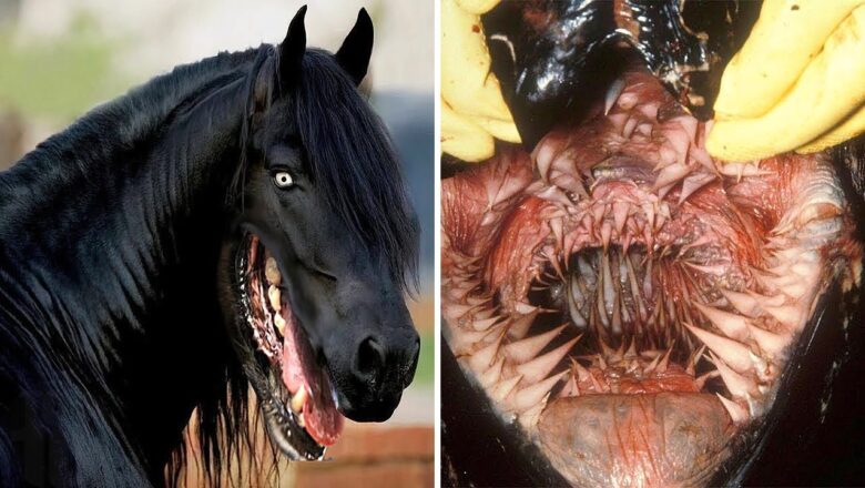 Deadliest Animal Mouths That Will Give You Nightmares