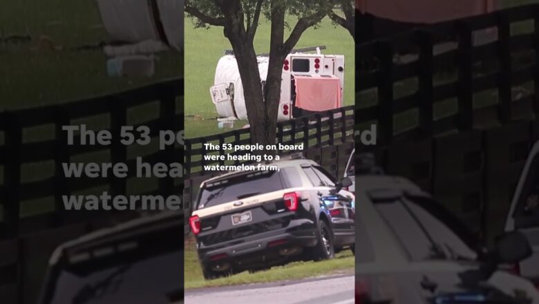 Deadly bus crash in Marion County, Florida kills at least 8 people #Shorts