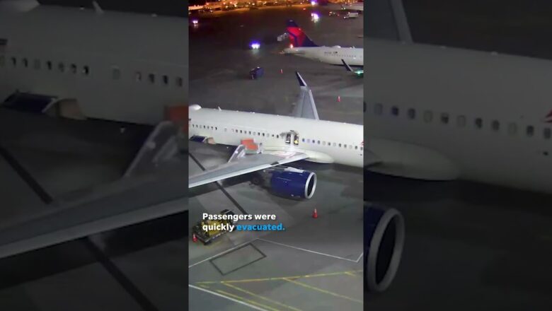 Delta plane catches fire at Seattle airport gate, prompts evacuation #Shorts