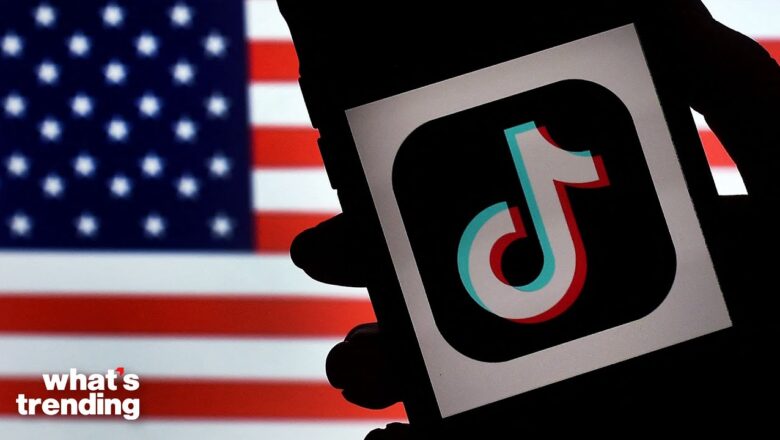 Meet One of the Creators SUING Over the TIKTOK BAN