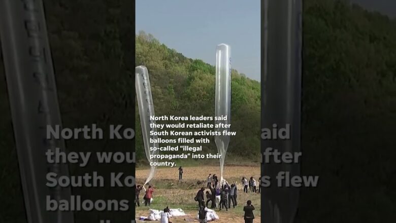 North Korea sends retaliatory trash, excrement-filled balloons to South Korea #Shorts