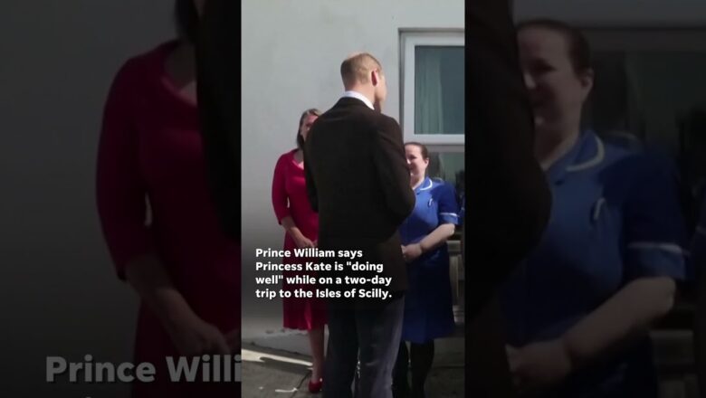 Prince William gives update on Princess Kate after cancer diagnosis: ‘She’s doing well’ #Shorts