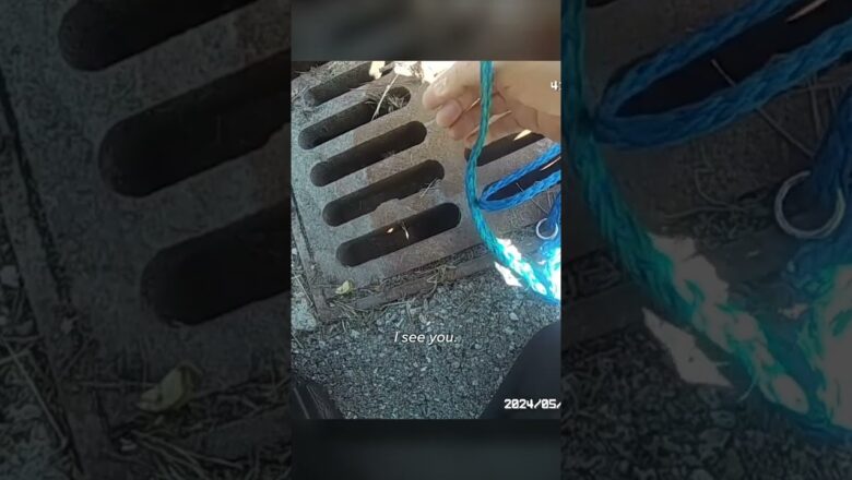 Video shows Ohio police officer rescue a cat from a storm sewer #Shorts