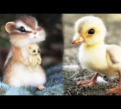 Cute Baby Animals Videos Compilation | Funny and Cute Moment of the Animals #2 – Cutest Animals 2024