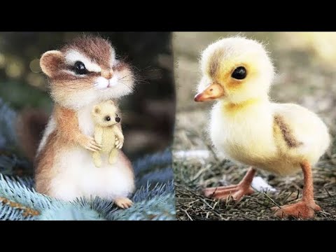 Cute Baby Animals Videos Compilation | Funny and Cute Moment of the Animals #2 – Cutest Animals 2024