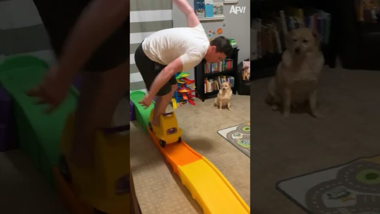 Dad, that toy is not for you 😂🛝 #shorts #slide #fail #dad #funny