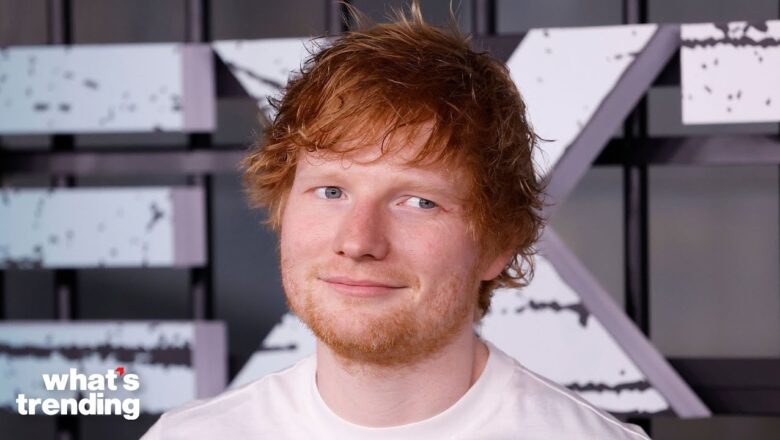 Ed Sheeran SHADES Pop Stars That Claim to ‘Not Care’ About Success