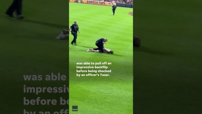 Security uses Taser on backflipping field intruding fan #Shorts