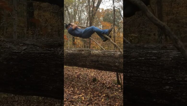 That tree gave it all 🌳😂 #shorts #tree #climb #fail #fun