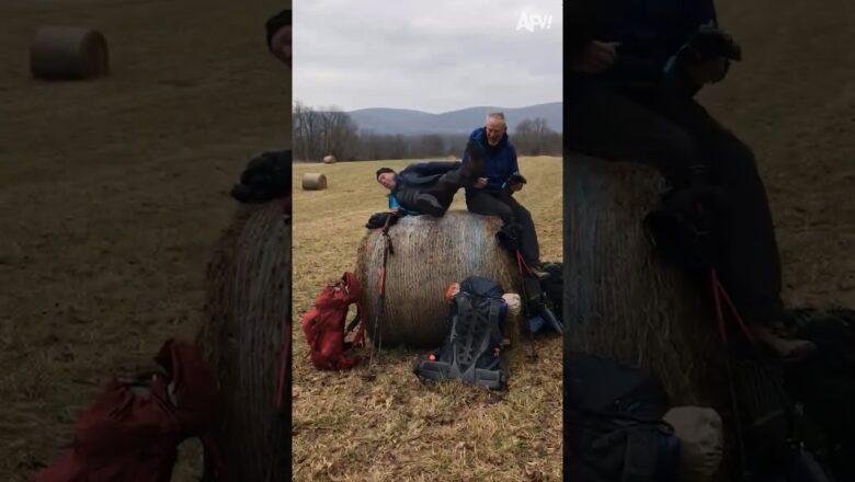 Up and over 😂 #jump #tumble #fail #fall #reel #afv