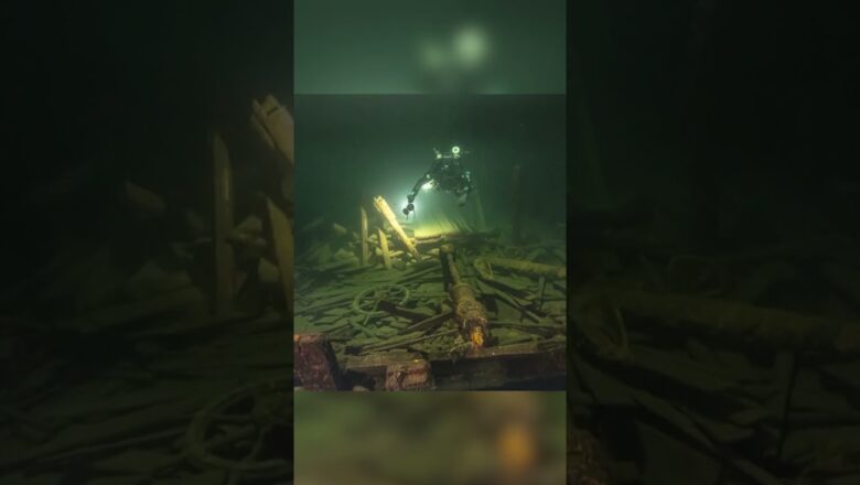 Dozens of champagne bottles found on 19th-century shipwreck #Shorts