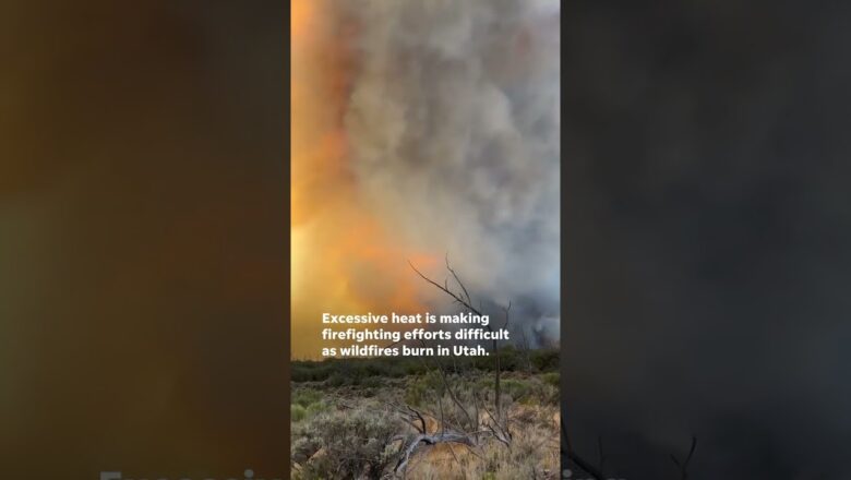 Firefighters battling two large wildfires in brutal Utah heat #Shorts