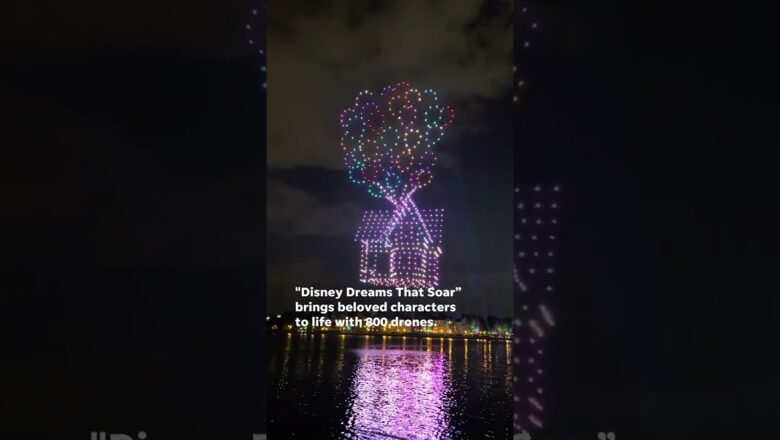 Free ‘Disney Dreams That Soar’ drone show soars above Disney World #Shorts