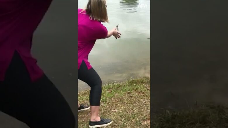 Her stick-throwing skills made a splash…quite literally! 🌊🐾 #fetch #fail #reels #dog