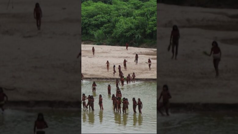 Incredible rare video shows uncontacted Amazon tribe #Shorts