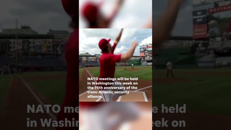 NATO chief throws ceremonial first pitch for the Washington Nationals #Shorts