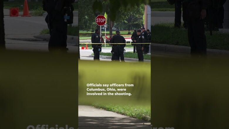 Out-of-town police fatally shoot person near the RNC #Shorts