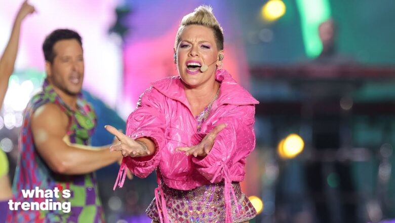 P!nk Cancels Concert Due to HEALTH Concerns, Apologizes to Fans