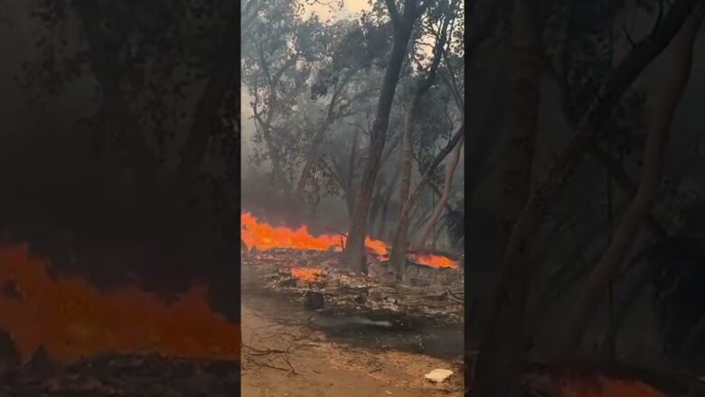 Watch: Firefighters try to tame massive Park Fire in California