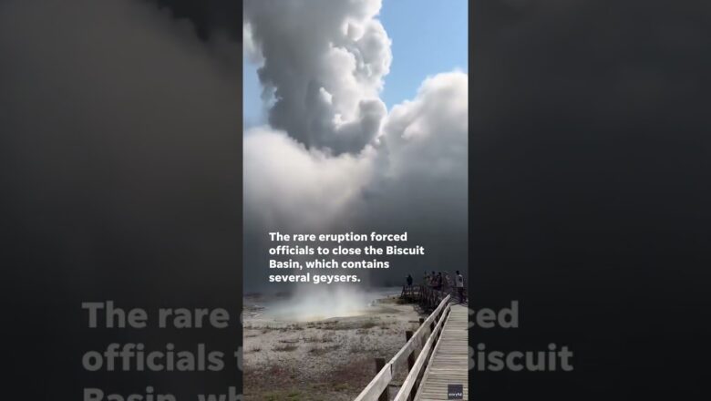 Watch: Hydrothermal explosion at Yellowstone sends guests running #Shorts