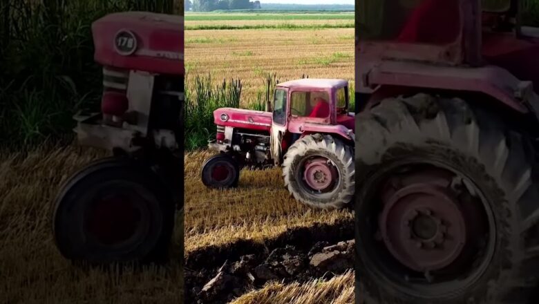 Watch: Italian artist creates Eiffel Tower in farm field ahead of Paris Olympics #Shorts