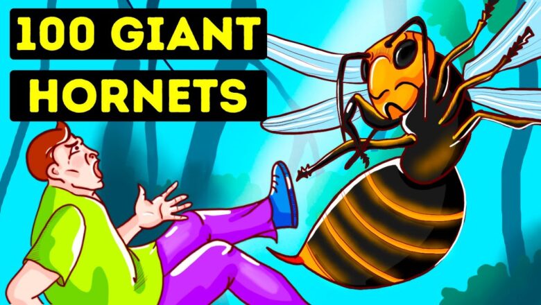 What If Biggest Hornet Stung You 100 Times?