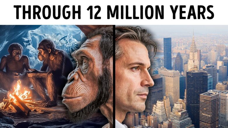 A 10-Minute Journey Through Earth’s Human Evolution