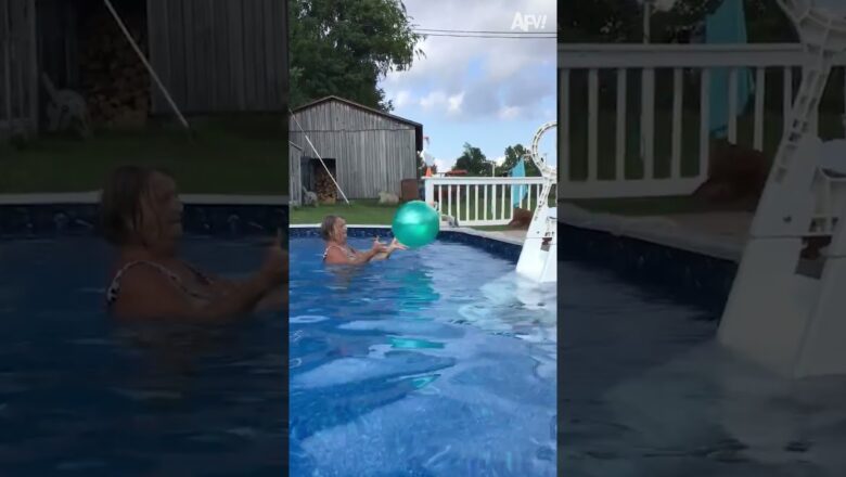 Dogs are getting more intelligent by the day 🐶 #shorts  #pool #ball #dog #funny