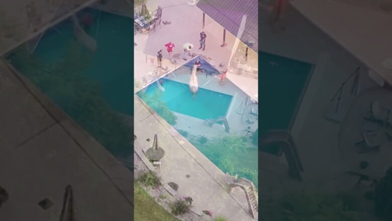 Drone catches ‘unusual’ rescue of horse from pool #Shorts