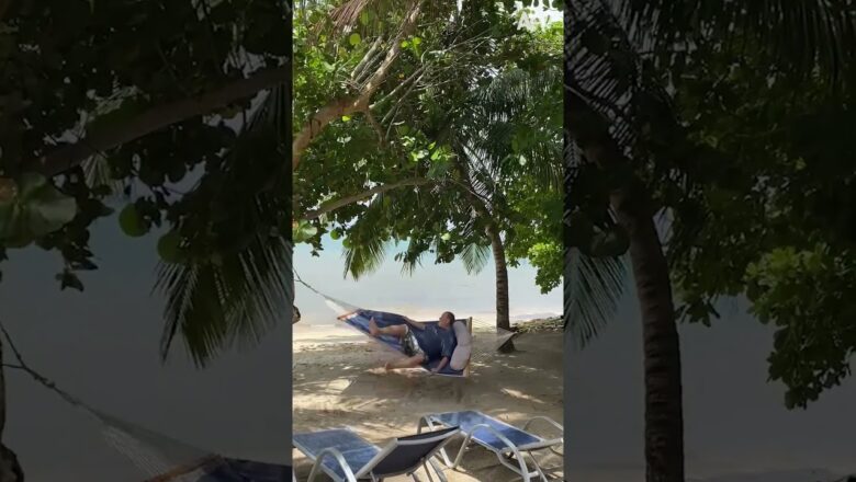 Gramps VS Hammock 🌴  #shorts #hammock #fail  #humor