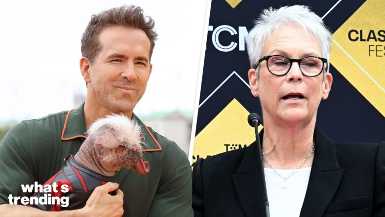 Jamie Lee Curtis SLAMS Marvel, Ryan Reynolds RESPONDS