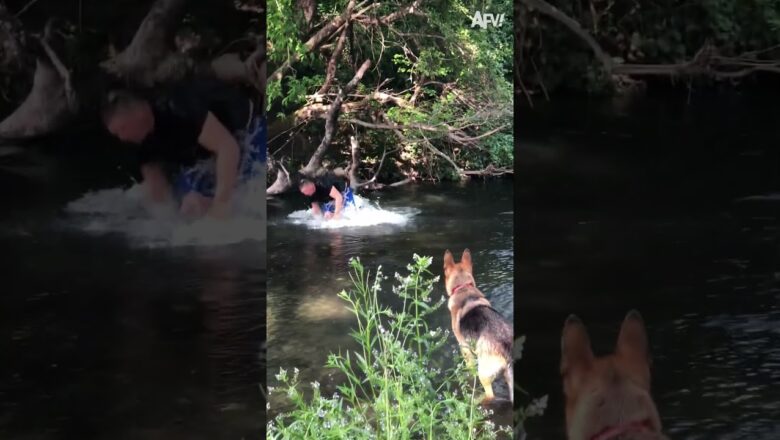 Oh, no, your phone! 📱# shorts #tree #river #climb #fail #humor