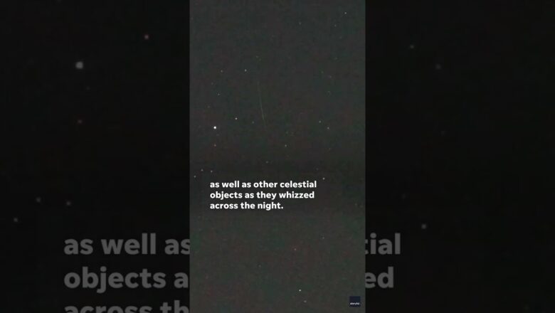 Watch: Perseid meteor shower spotted over Minnesota skies #Shorts