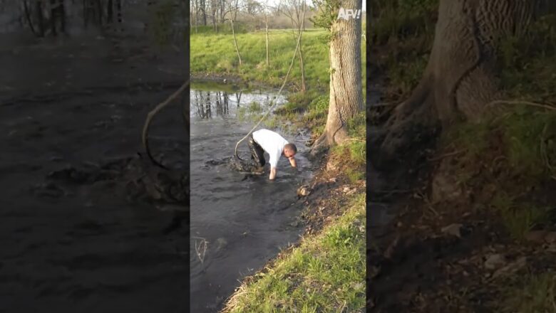 When mother nature doesn’t like you 🌳#shorts #tree #lake #fail