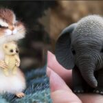 AWW Animals SOO Cute! Cute baby animals Videos Compilation cute moment of the animals #11