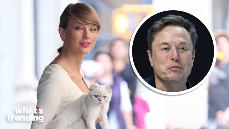 Elon Musk Offers to GIVE Taylor Swift ‘A CHILD’ ?