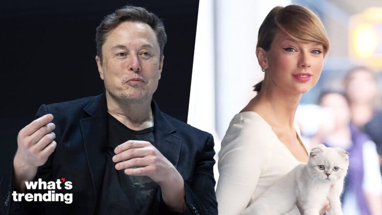 Elon Musk RESPONDS To Taylor Swift Endorsing Harris-Walz:  ‘I Will Give You a CHILD’