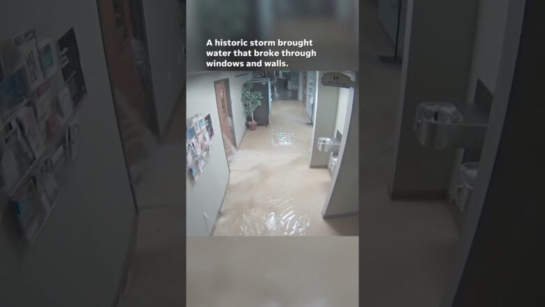 Historic flood devastates library, damages books and artifacts #Shorts