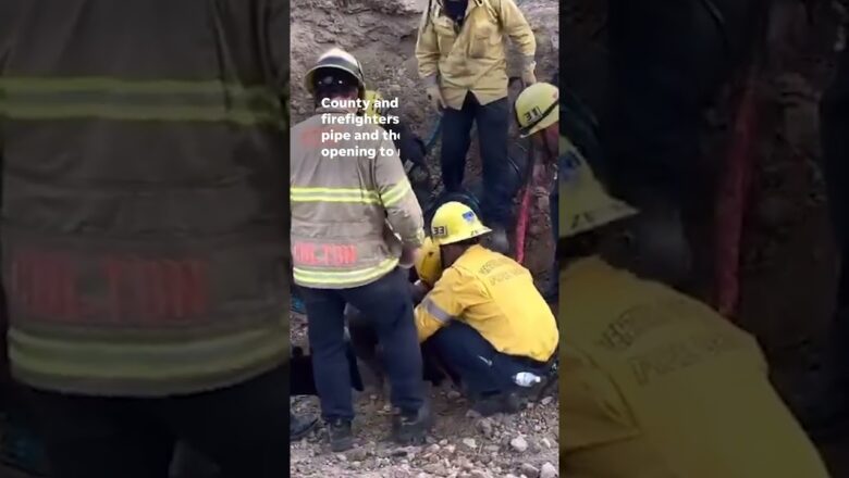 Man rescued from drain pipe in Ventura County, California #Shorts