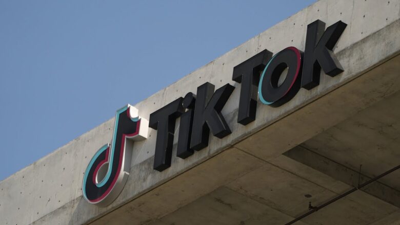 TikTok ‘fighting for its life’ in U.S. legal battle: tech expert Carmi Levy