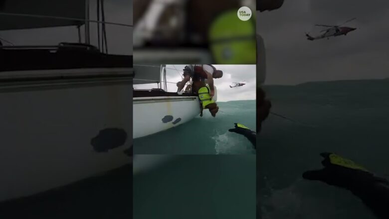 Watch: Coast Guard saves man, dog from Hurricane Helene’s rough waters #Shorts