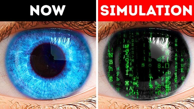 We Are Living In Computer Simulation. Or Not?