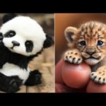 AWW Animals SOO Cute! Cute baby animals Videos Compilation cute moment of the animals #18