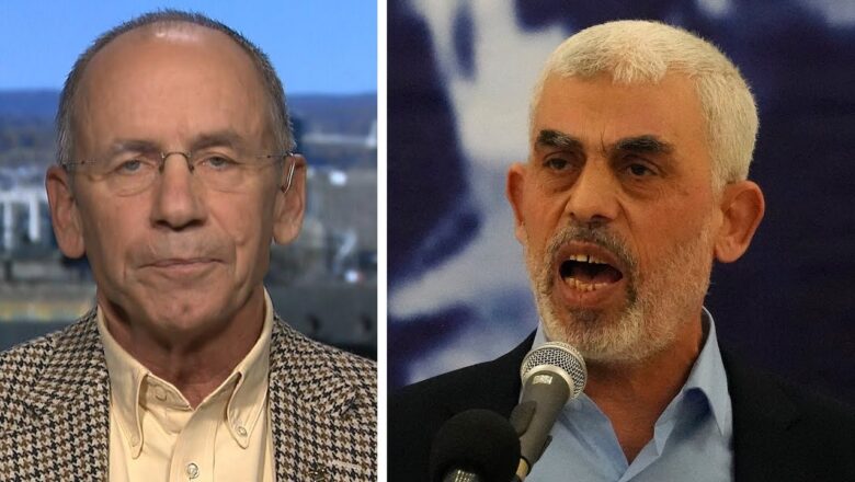 Israel confirms death of Hamas leader Yahya Sinwar | Former NATO commander says this is “good news”