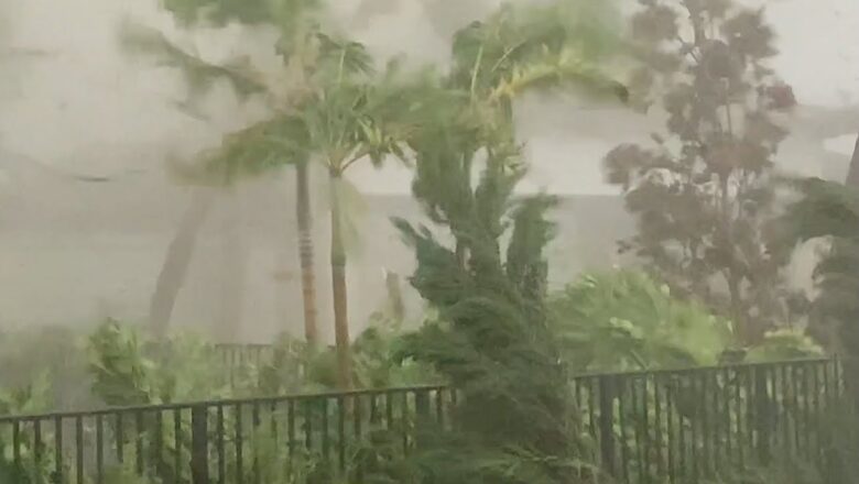 “Oh my god!” | Watch the moment a tornado rips through a Florida backyard during Hurricane Milton