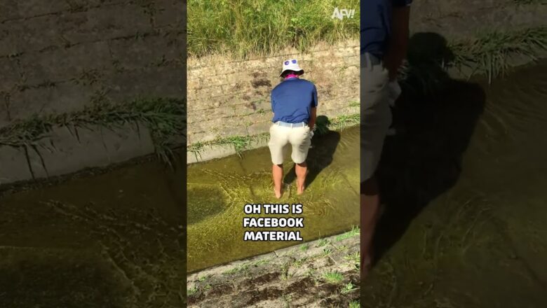 Putt it somewhere else 😂 #golf #funny #fail