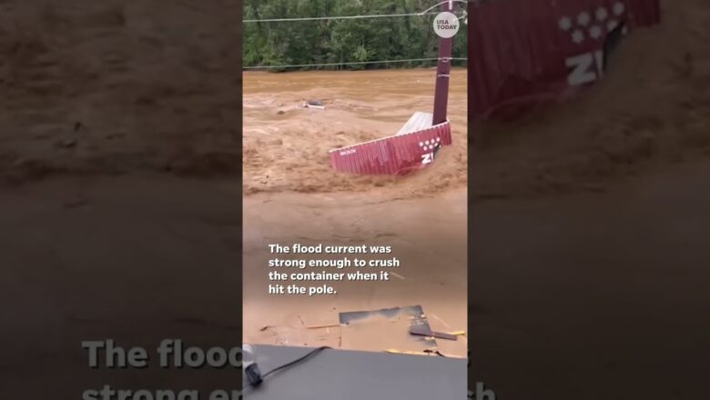 Watch: Container crushed like soda can in Helene floodwaters #Shorts