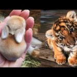 AWW Animals SOO Cute! Cute baby animals Videos Compilation cute moment of the animals #21