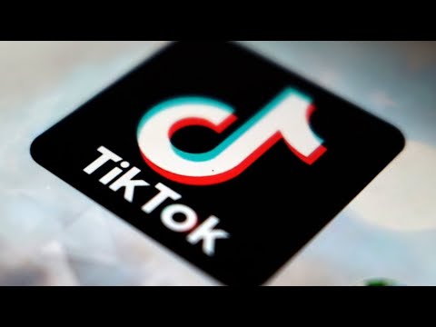 Expert ‘doesn’t understand the logic’ behind Ottawa’s order against TikTok